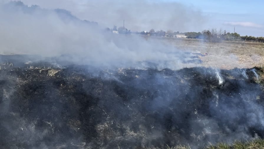 Cévennes : les pompiers du Gard et de l’Hérault interviennent pour un écobuage