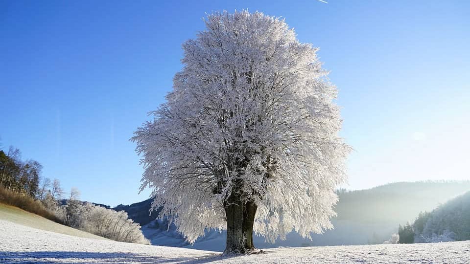 Gelées météo