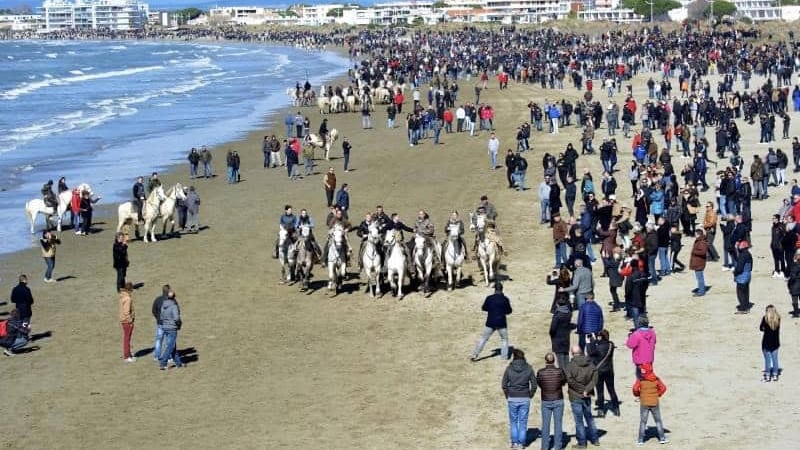 Gard : la célèbre Abrivado des plages au Grau-du-Roi, c’est ce samedi 4 mars !