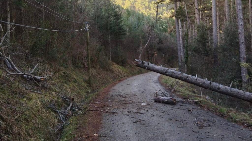 Vent violent : les pompiers sont intervenus déjà plus de 20 fois, en grande partie dans le Cévennes