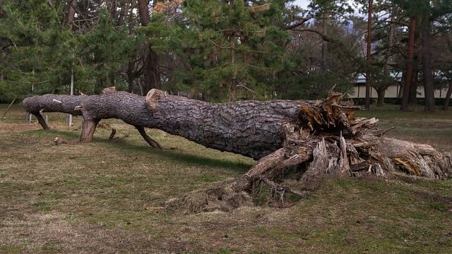 Météo : fort coup de vent ce vendredi soir dans l’Hérault et le Gard