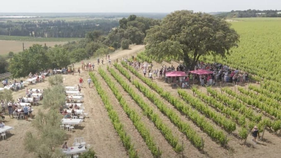 Costières de Nîmes : fort de son succès, la 13ème édition des Vignes Toquées propose 400 places supplémentaires