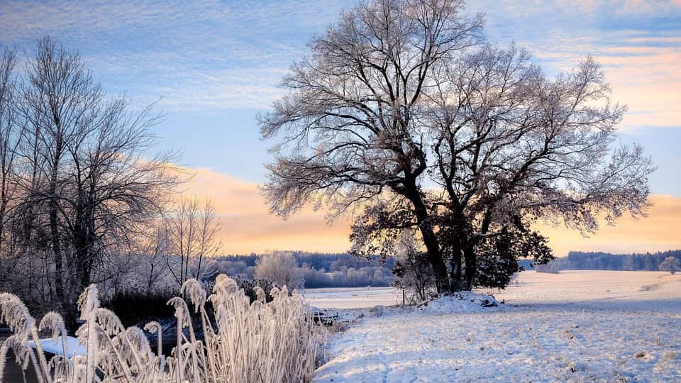 Météo : retour des averses de neige ce week-end sur la région !