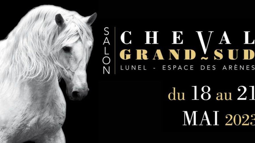 Hérault : le premier salon cheval grand sud se tiendra à Lunel du 18 au 21 mai