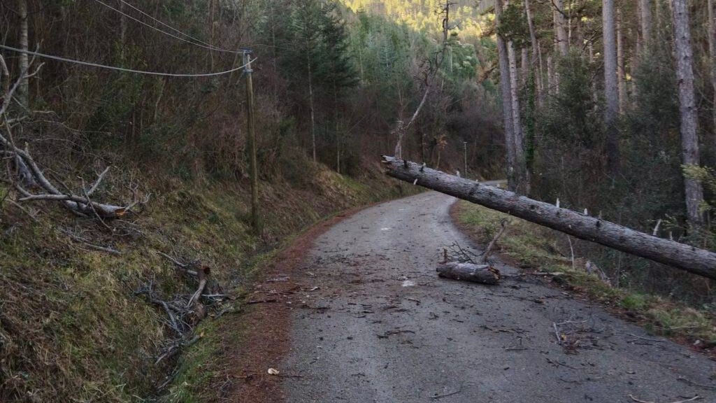 Météo : puissantes rafales de vent, jusqu’à 168 km/h en région !