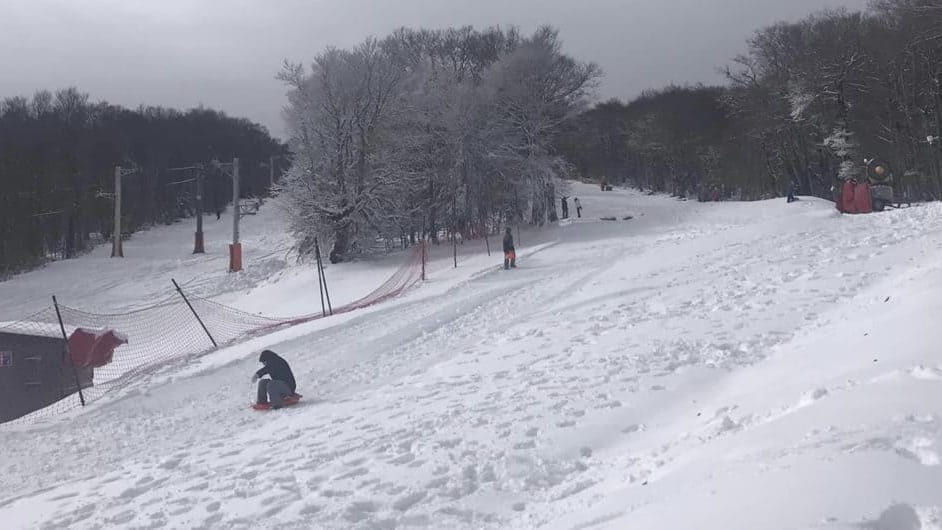 Loisirs : luge, ski, raquettes, la station Alti Aigoual vous attend