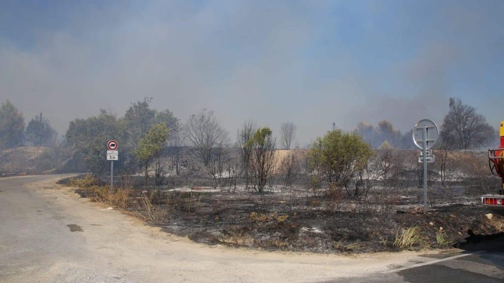 Camargue : un feu de végétation se déclare dans les marais de Gallician