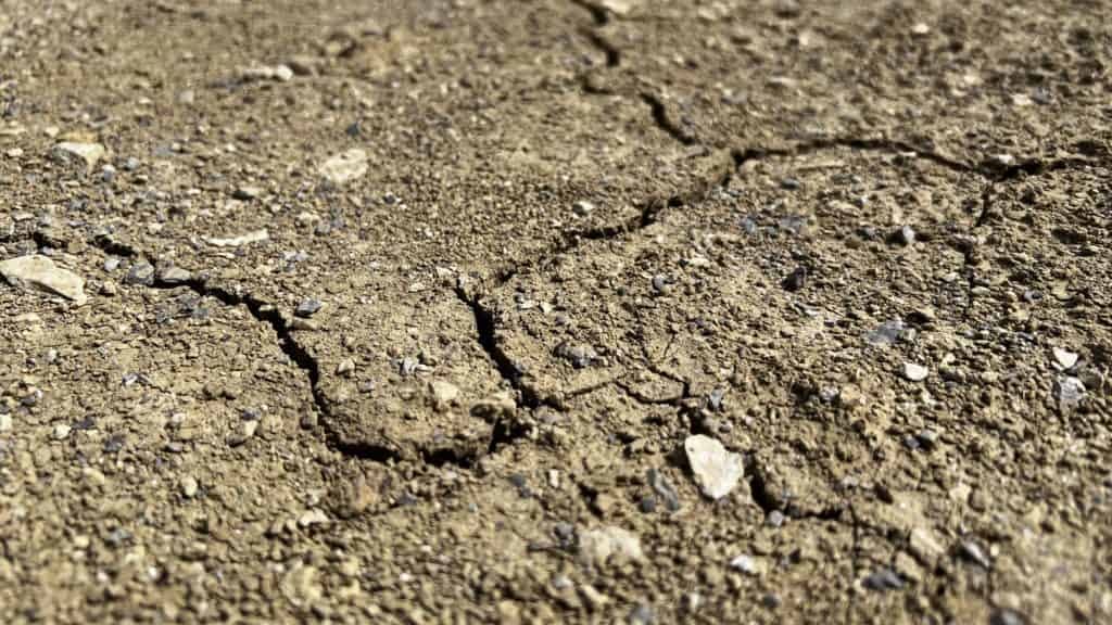 Sécheresse : la situation se dégrade encore et inquiète en Occitanie