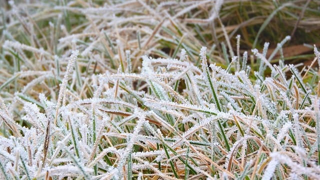 Météo : vers un risque de gelées la semaine prochaine en région