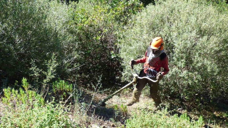 Prévention : débroussailler, une obligation pour lutter contre les feux de forêt