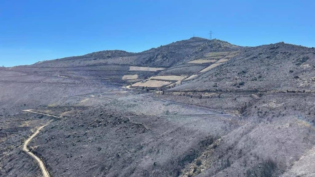 Incendie dans les Pyrénées-Orientales : le feu maîtrisé après avoir ravagé plus de 940 hectares de végétation