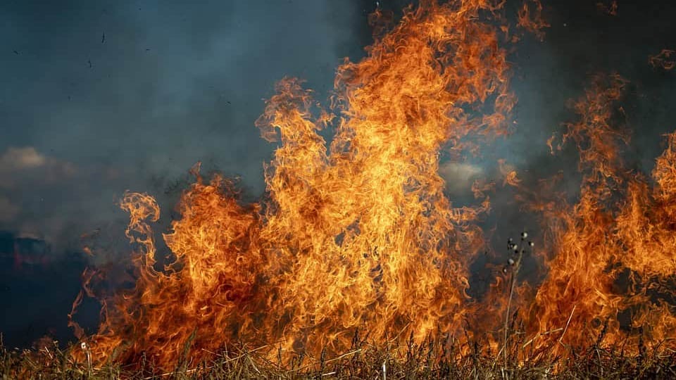 Hérault : le Préfet interdit tout emploi du feu pour au moins un mois