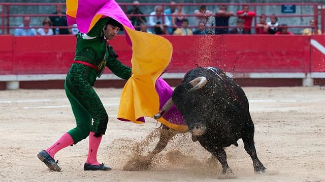 Illustration - corrida