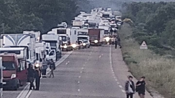 Hérault : 6000 fêtards réunis pour une rave-party illégale dans une zone Natura 2000
