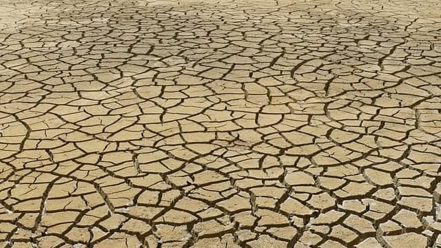 Gard. Sécheresse : situation de crise étendue dans le département