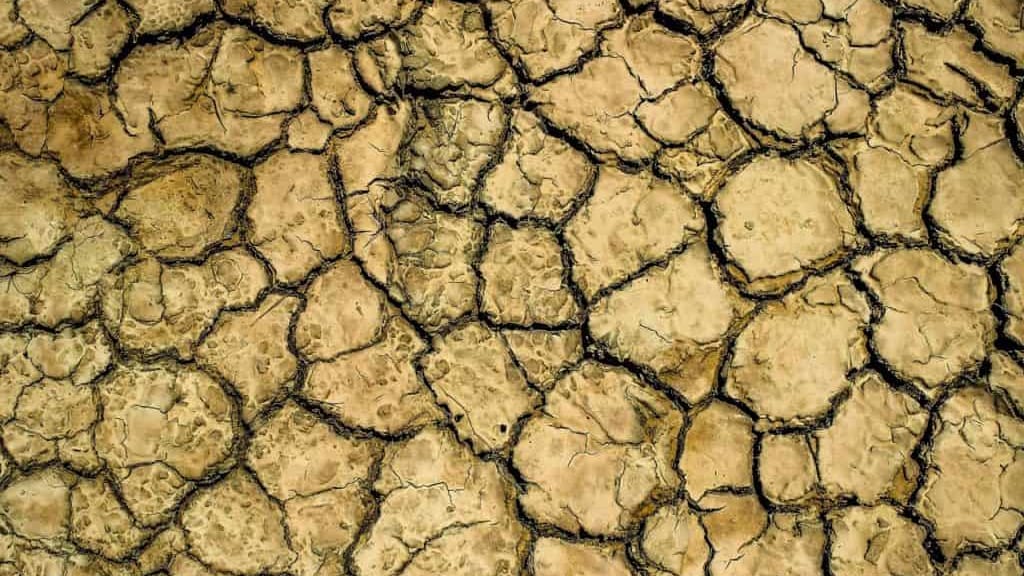 Hérault : la sécheresse s’aggrave, nouvelles restrictions de l’usage de l’eau