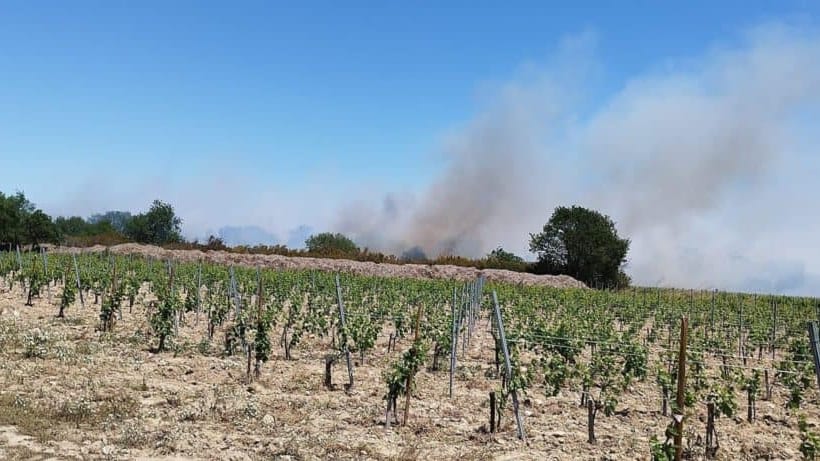 Occitanie : incendie en cours dans les Pyrénées-Orientales à Argelès-sur-Mer