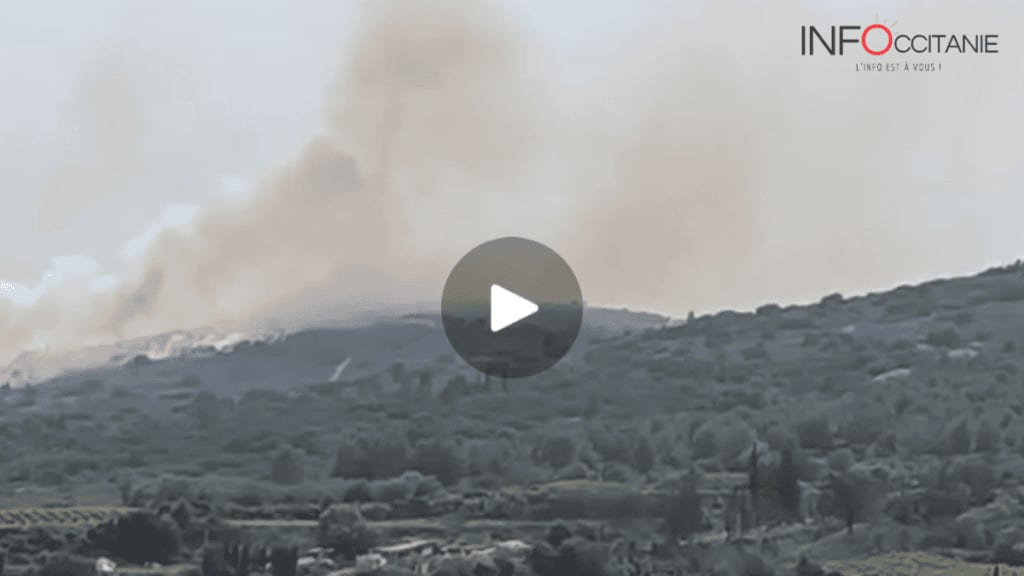 Hérault : un feu de végétation se déclare au nord du bassin de Thau, un avion bombardier d’eau engagé