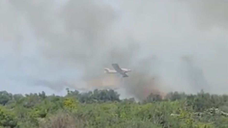 Hérault : un feu détruit environ 25 hectares de végétation