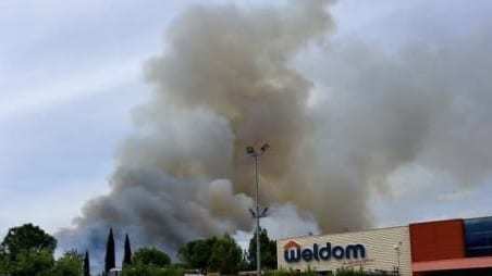 Pyrénées-Orientales : un important feu de végétation se déclare à Argelès-sur-Mer