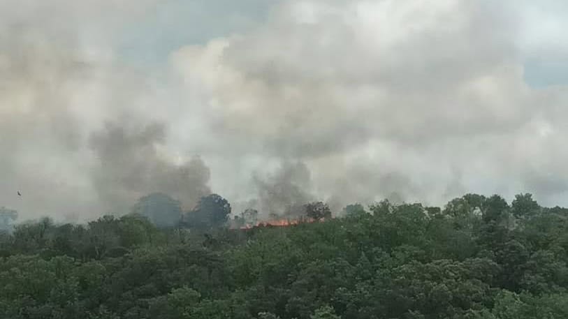 Incendie dans l’Hérault : les sapeurs-pompiers interviennent pour un feu de végétation
