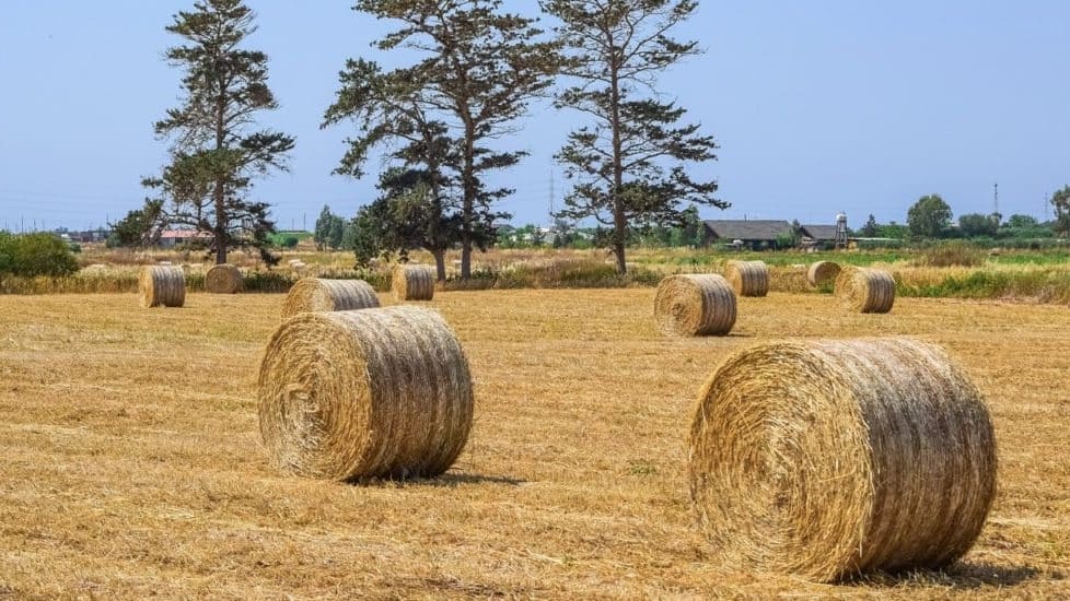 Occitanie : la Région crée un bonus inédit pour favoriser l’installation des agricultrices