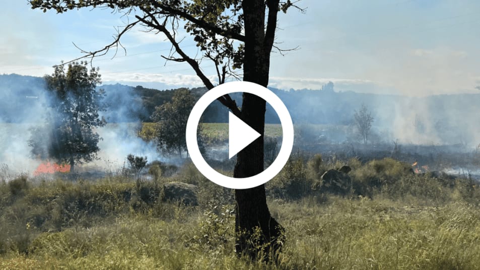 Gard : un feu de végétation se déclare au Sud d’Alès