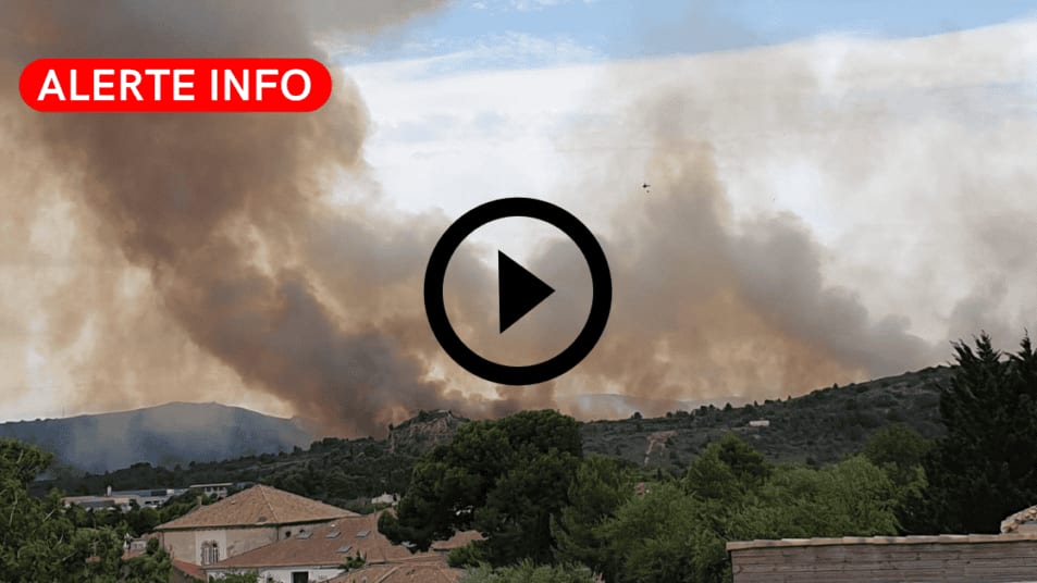 Aude : un virulent feu de forêt se déclare au nord de Narbonne, d’importants moyens engagés