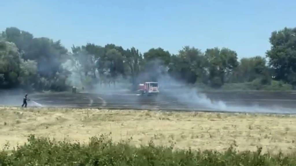 Hérault : un feu se déclare dans un champ sur la commune de Fabrègues