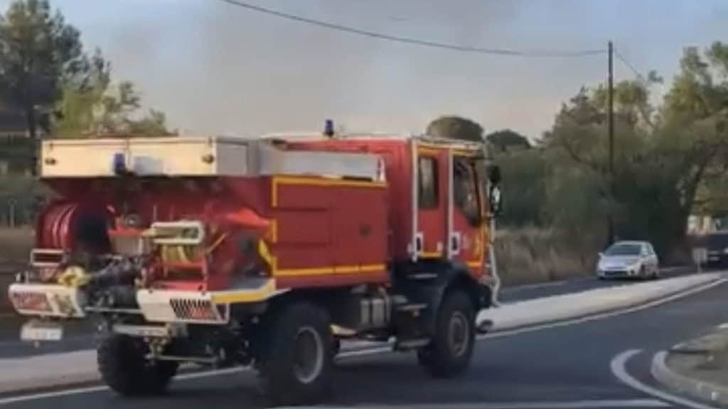 Incendie à Mèze : un important feu de végétation mobilise les pompiers et plusieurs Canadairs