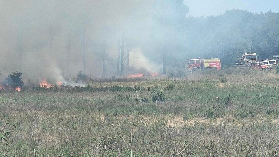 Pyrénées-Orientales : un feu de végétation se déclare à proximité d’un camping