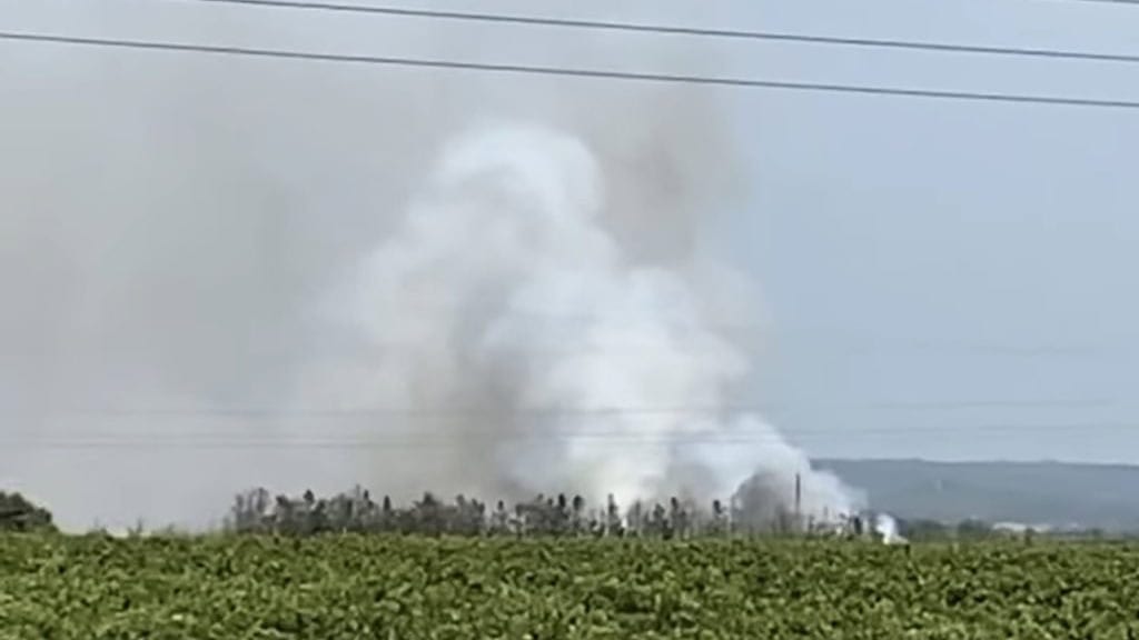 Feu de végétation dans le Gard : les sapeurs-pompiers mobilisés du côté de Bouillargues