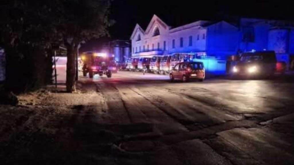 Hérault : 100 pompiers mobilisés pour lutter contre un incendie de végétation qui a ravagé près de 20 hectares