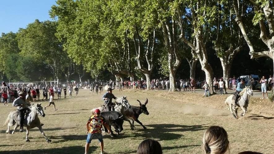 Gard : Gajan en fête, c’est du 27 au 30 juillet cette année !