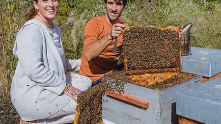 Gard : Au miel Occitan, la volonté de proposer un miel de qualité