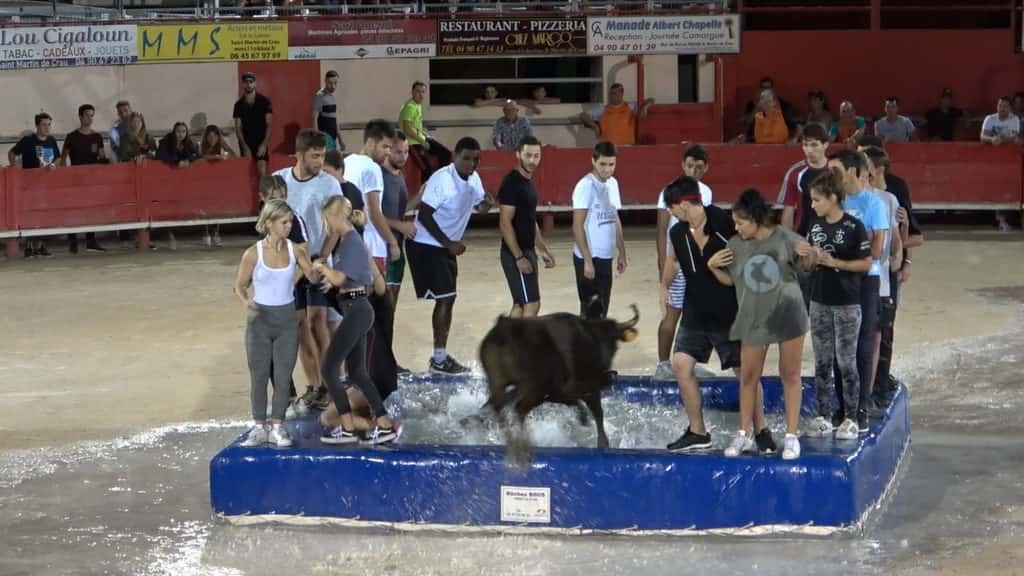 Occitanie : des spectacles « Toro Piscine » tout l’été dans les Arènes du Gard et de l’Hérault