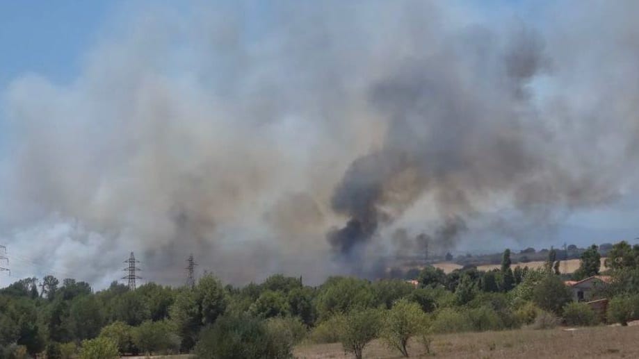 Pyrénées-Orientales : feu de végétation dans la commune de Perpignan
