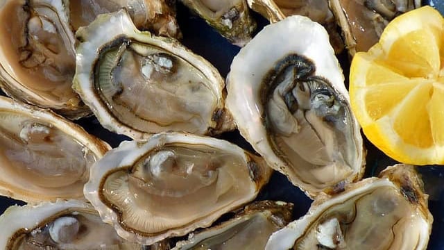 Hérault : fête de l’huître à Marseillan, pour tous les amoureux de coquillages