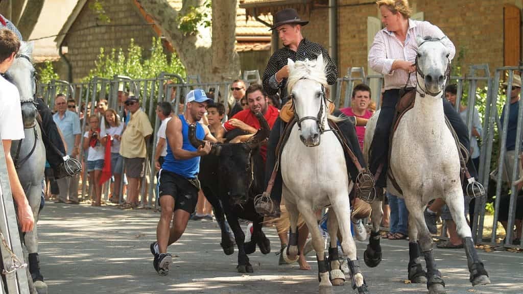Hérault : la fête votive de Montarnaud du 12 au 15 août