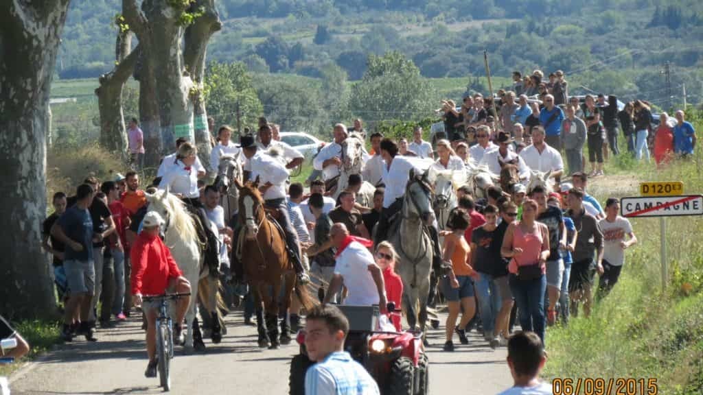 Hérault : un programme chargé pour la Fête de Campagne en célébration des 50 ans du comité