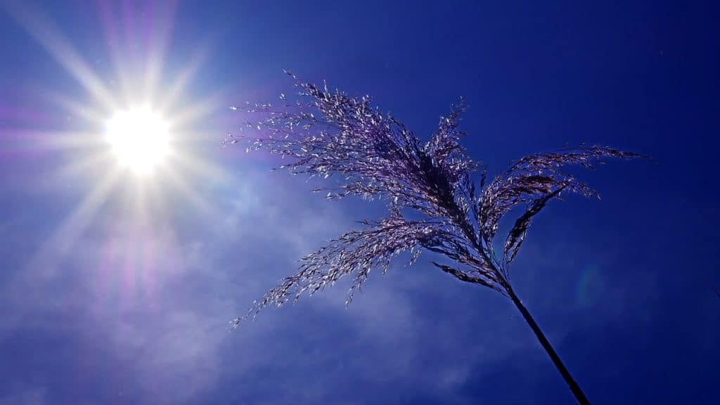 Météo : une grande partie de l’Occitanie placée en vigilance orange canicule