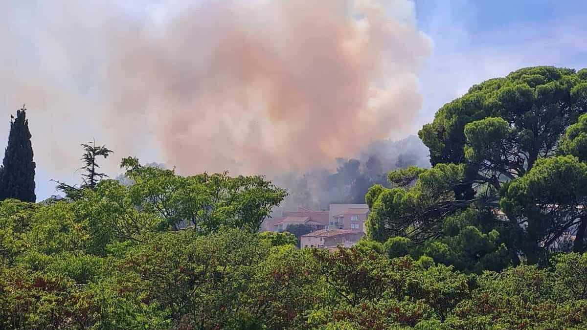 Hérault : un nouveau feu est en cours ce mardi après-midi sur Clermont l’Hérault, des Canadair en renfort