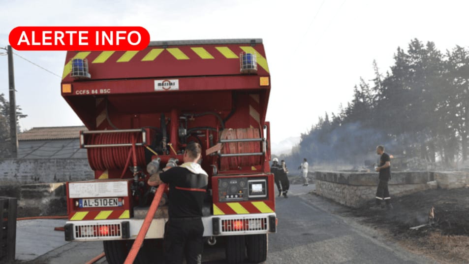 Gard : 300 brebis meurent dans l’incendie d’une bergerie