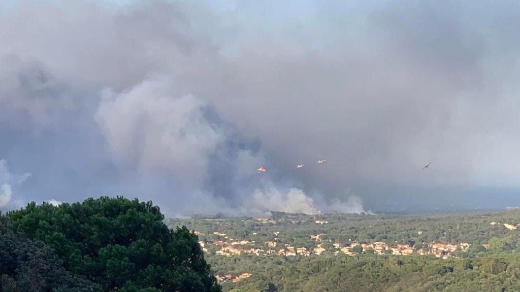 Incendie ravageur dans les Pyrénées-Orientales : le feu enfin fixé après une lutte acharnée