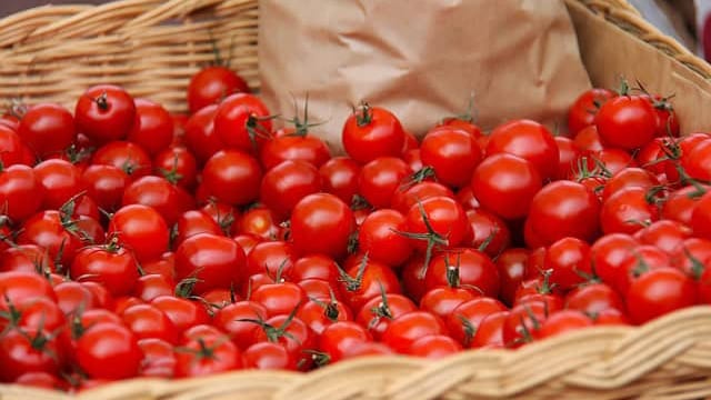 Hérault : 16ème Festival de la tomate à Clapiers le 3 septembre prochain