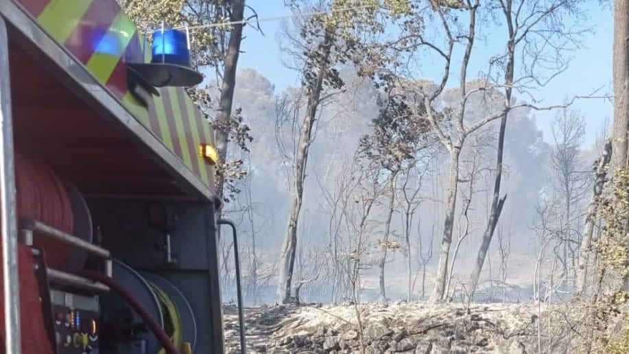 Hérault : les sapeurs-pompiers à nouveau mobilisés sur Assas