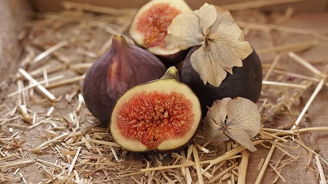 Gard : les Jours de Figues de retour dans la commune de Vézénobres