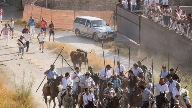 Hérault : la Féria des Vendanges de Villeneuve-lès-Maguelone revient pour ses 25 ans