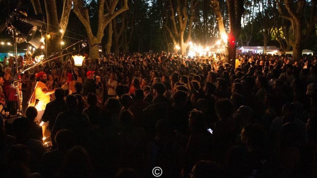 Montpellier : les artistes locaux à l’honneur lors du Mama Stock Festival