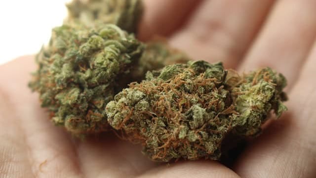 Gard : un enfant d’un an transporté à l’hôpital après avoir avalé une boulette de cannabis, près du Vigan